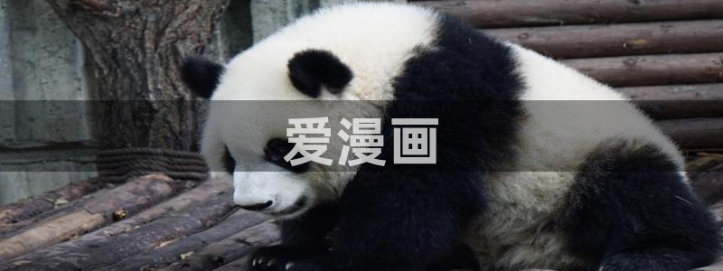 51漫画画免费阅读下拉式漫画
