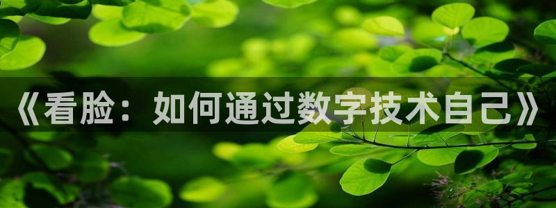 51漫画网站.：《看脸：如何通过数字技术自己》