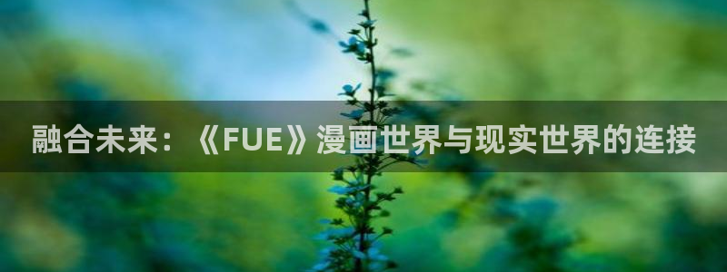 51漫画网站大全