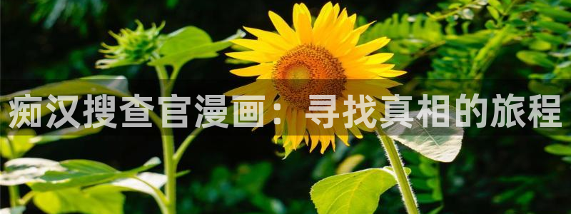 51漫画在线观看av：痴汉搜查官漫画：寻找真相的旅程