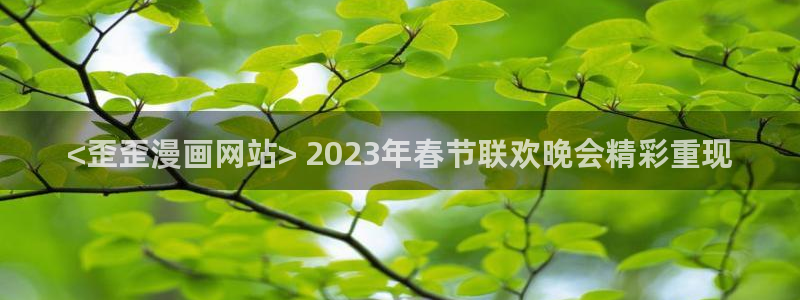 51漫画大男主漫画：<歪歪漫画网站> 2023年春节联欢晚会精彩重现