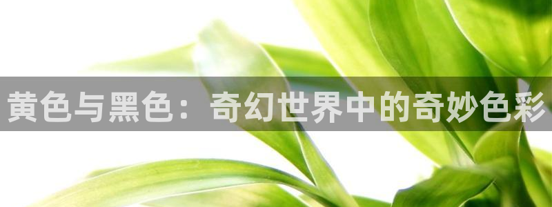 yy51漫画免费看：黄色与黑色：奇幻世界中的奇妙色彩
