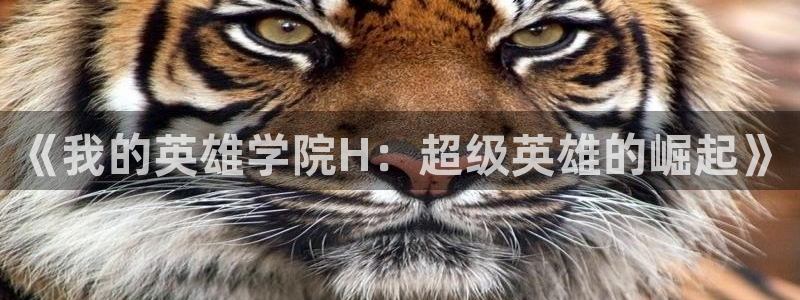 51漫画在线免费看无删减：《我的英雄学院H：超级英雄的崛起》