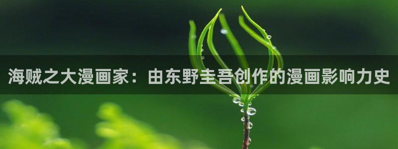 3d动漫51漫画在线观看完整版免费：海贼之大漫画家：由东野圭吾创作的漫画影响力史