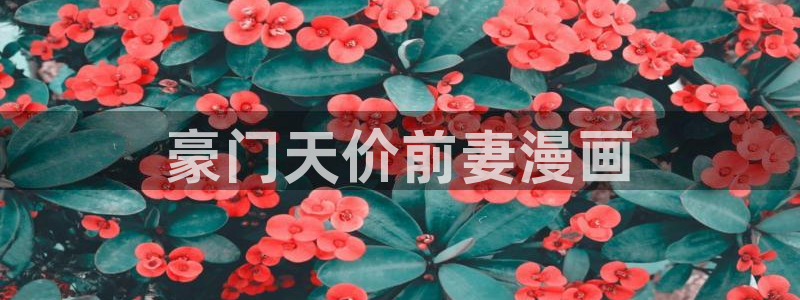 51漫画画app免费看：豪门天价前妻漫画
