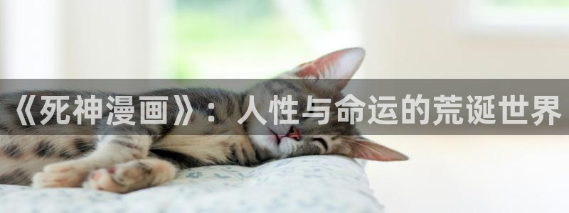 51漫画51漫画画网：《死神漫画》：人性与命运的荒诞世界