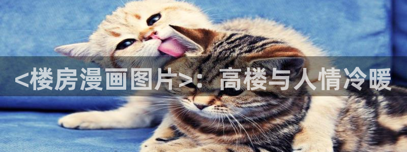 51漫画原版官网：<楼房漫画图片>：高楼与人情冷暖