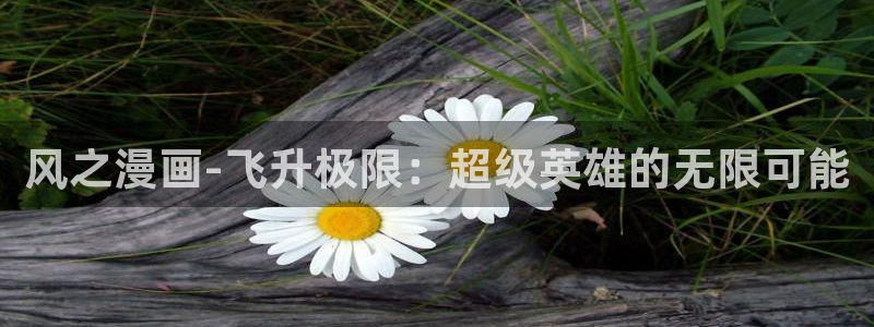 好看51漫画漫画：风之漫画-飞升极限：超级英雄的无限可能